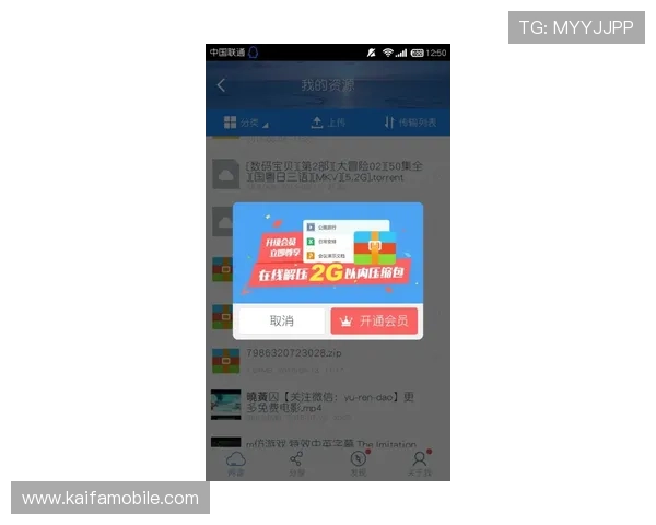 凯发vip会员如何快速激活与升级，开启尊贵游戏体验的详细指南